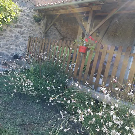 Les Ombelles